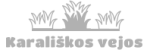 tamsus logotipas